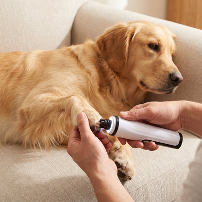 Nagels slijpen bij een rustige golden retriever