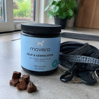 Movara av-dog-1.jpg