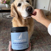 Movara av-dog-2.jpg