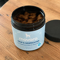 Movara av-dog-3.jpg