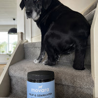 klantfoto movara 4