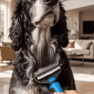 gif — Ontklitborstel 2-in-1 voor hond en kat – ontklitten én ontwollen met één borstel