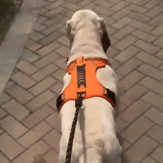 gif — Reflecterend anti-trek hondentuig