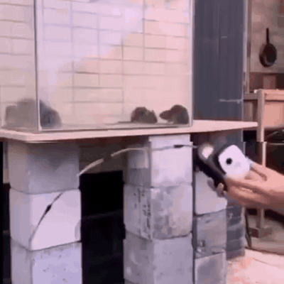 gif — VerjaagPro™ Ultrasone Ongedierteverjager voor het Stopcontact – 1 gekocht = 1 gratis