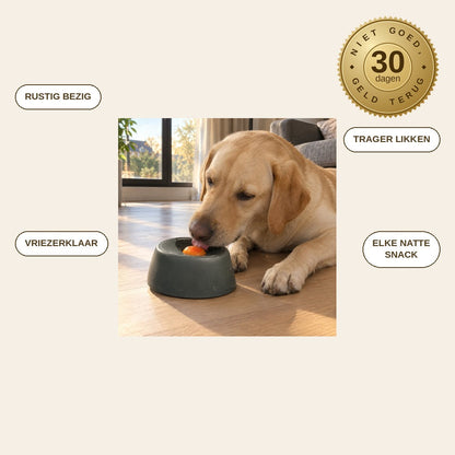 infographie — LikRust™ Likkom met Rollende Bal voor Honden