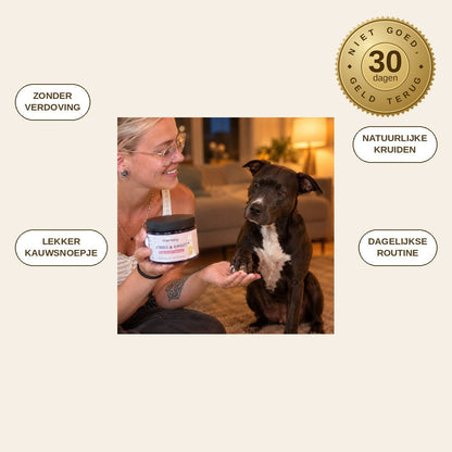 infographie — RustKauw™ – Kalmerende snoepjes voor honden