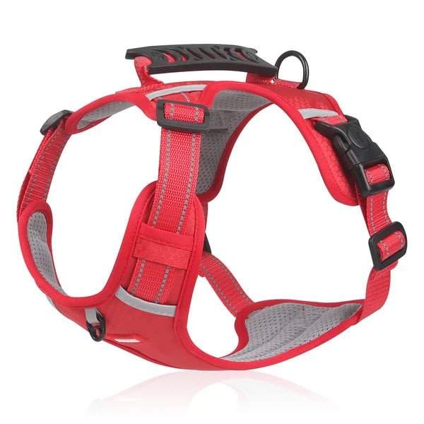 couleur Rood — Reflecterend anti-trek hondentuig