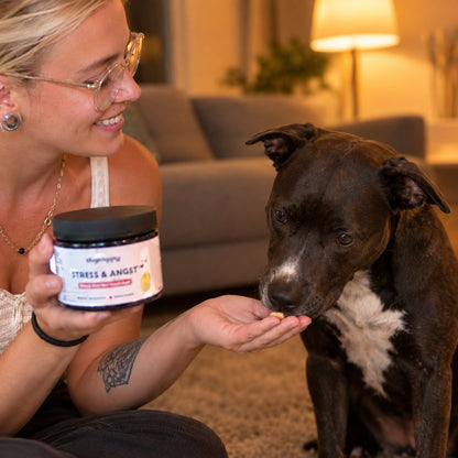 situation — RustKauw™ – Kalmerende snoepjes voor honden