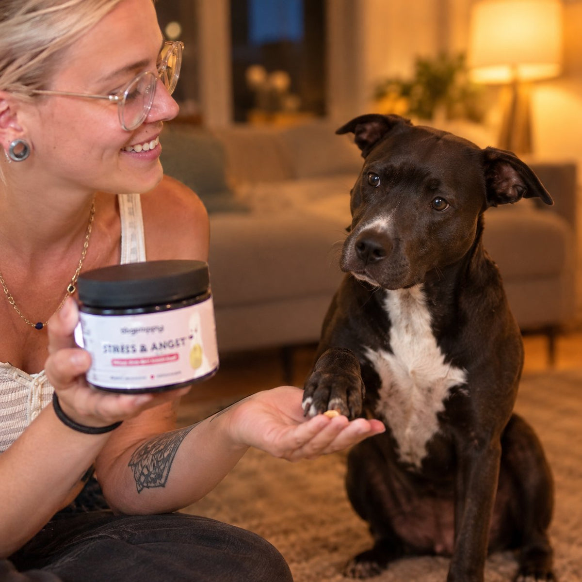 packshot — RustKauw™ – Kalmerende snoepjes voor honden