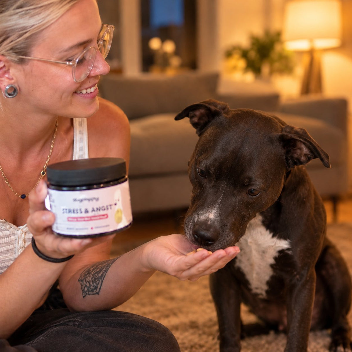 situation — RustKauw™ – Kalmerende snoepjes voor honden