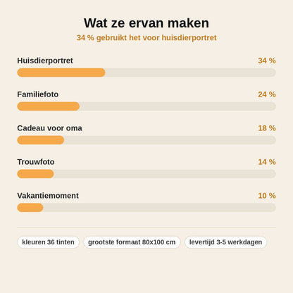 stats — Stippenschilderij van je eigen foto – op spieraam, met acrylstiften